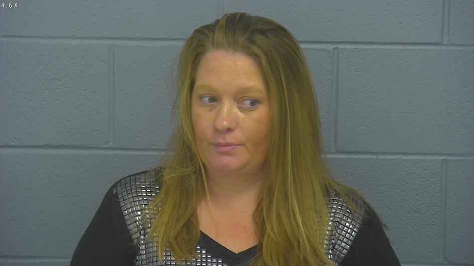 Arrest photo of BRITTANY MCLEAN