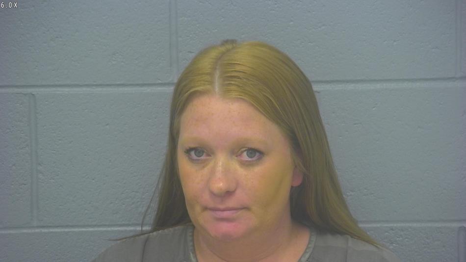 Arrest photo of BRITTANY MCLEAN