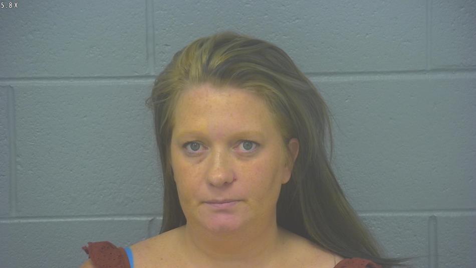 Arrest photo of BRITTANY MCLEAN