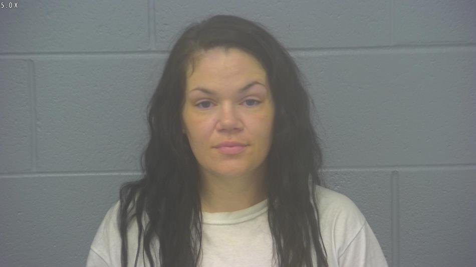 Arrest photo of BRITTANY BARNES