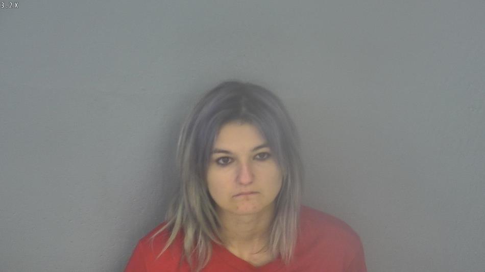 Arrest photo of BRITTANY BURNS
