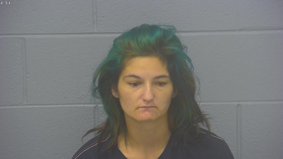 Arrest photo of BRITTANY BURNS