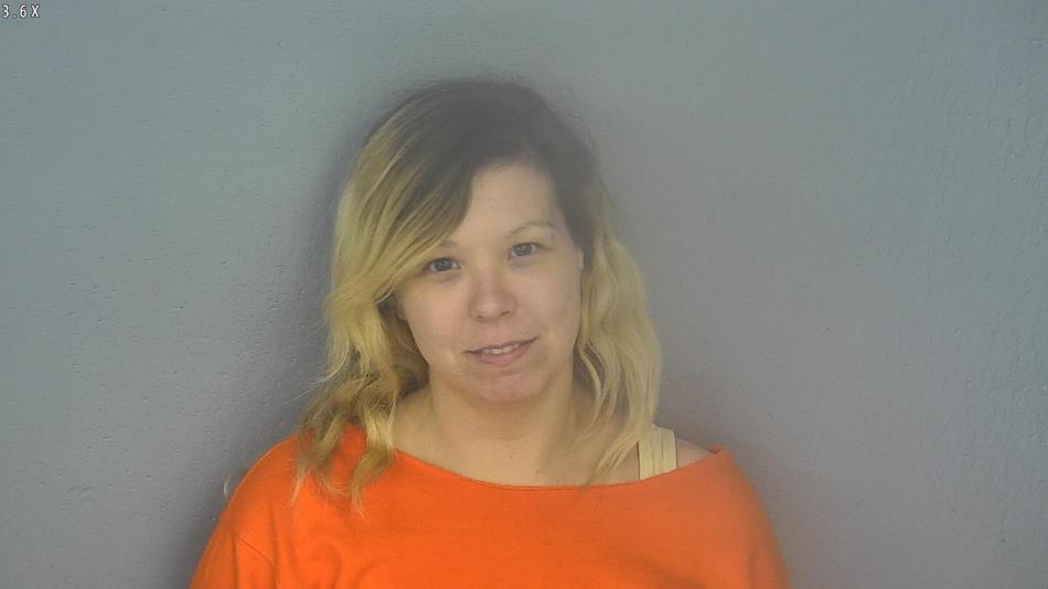 Arrest photo of BRITTANY ADCOCK