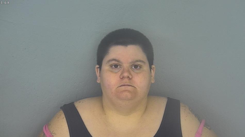 Arrest photo of BRITTANY SMALL
