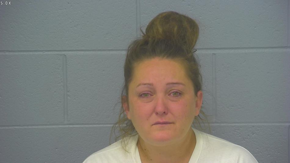 Arrest photo of BRITTANY THOMPSON