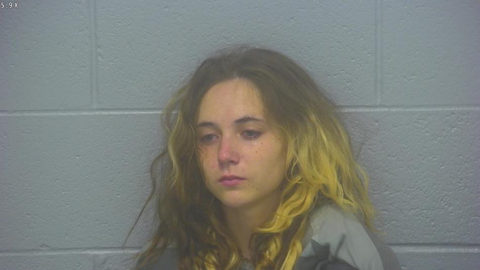 Arrest photo of BRITTANY COX