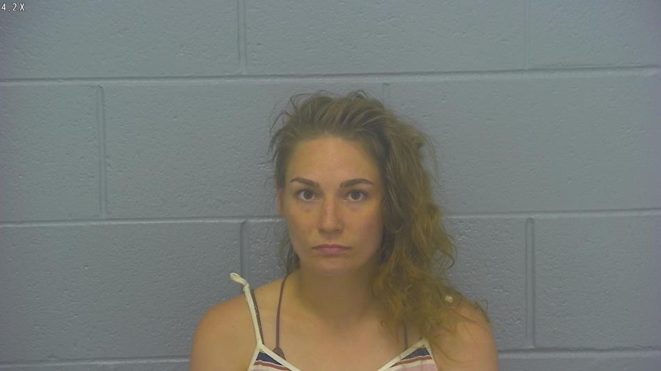 Arrest photo of BRITTANY FLEMING