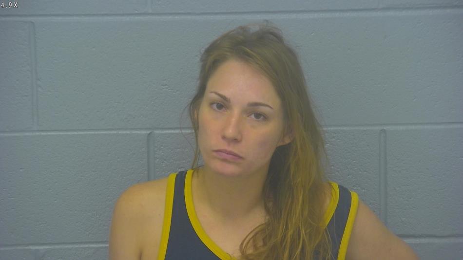 Arrest photo of BRITTANY FLEMING