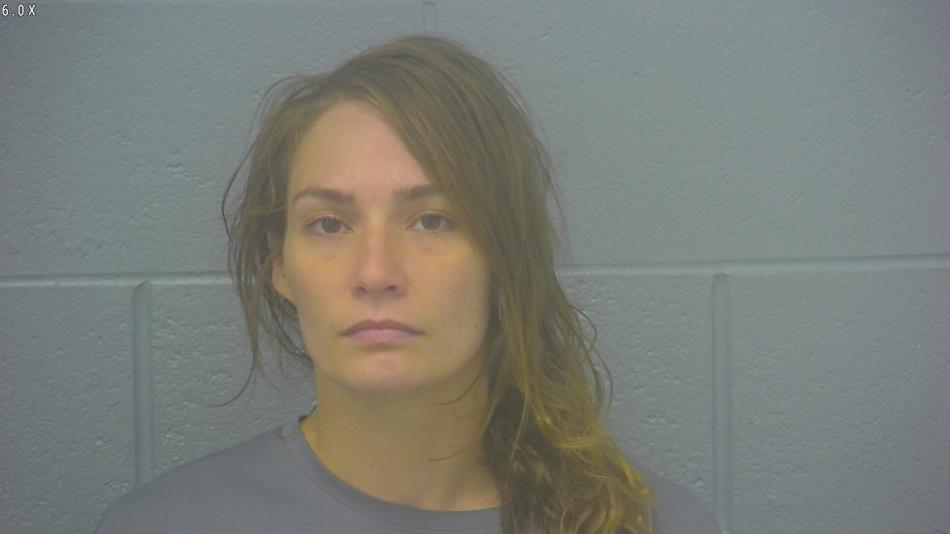 Arrest photo of BRITTANY FLEMING