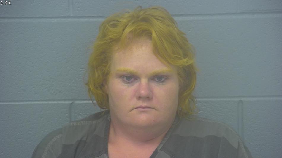 Arrest photo of BRITTANY MEYER