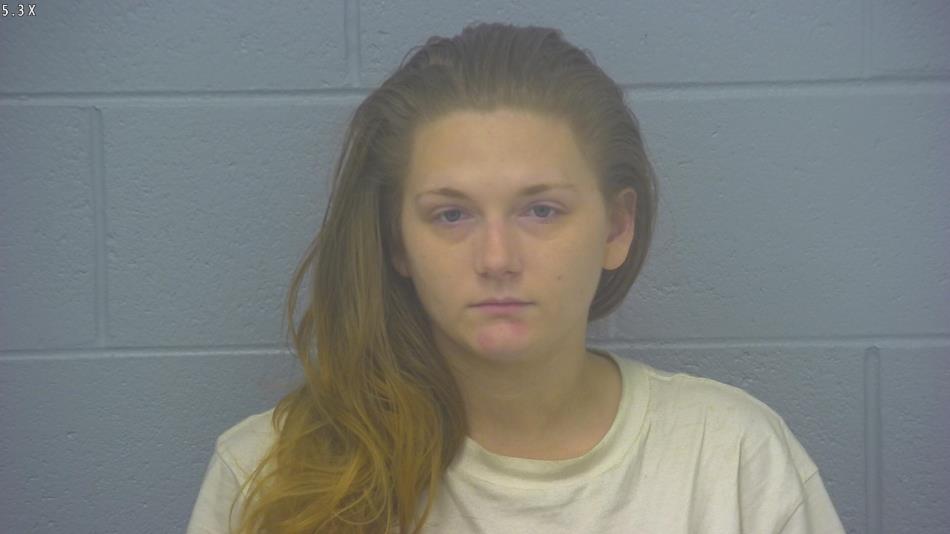 Arrest photo of BRITTANY SHEEHAN