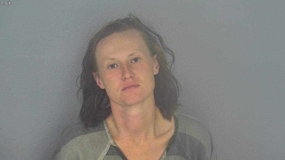 Arrest photo of BRITTANY ANDERSON