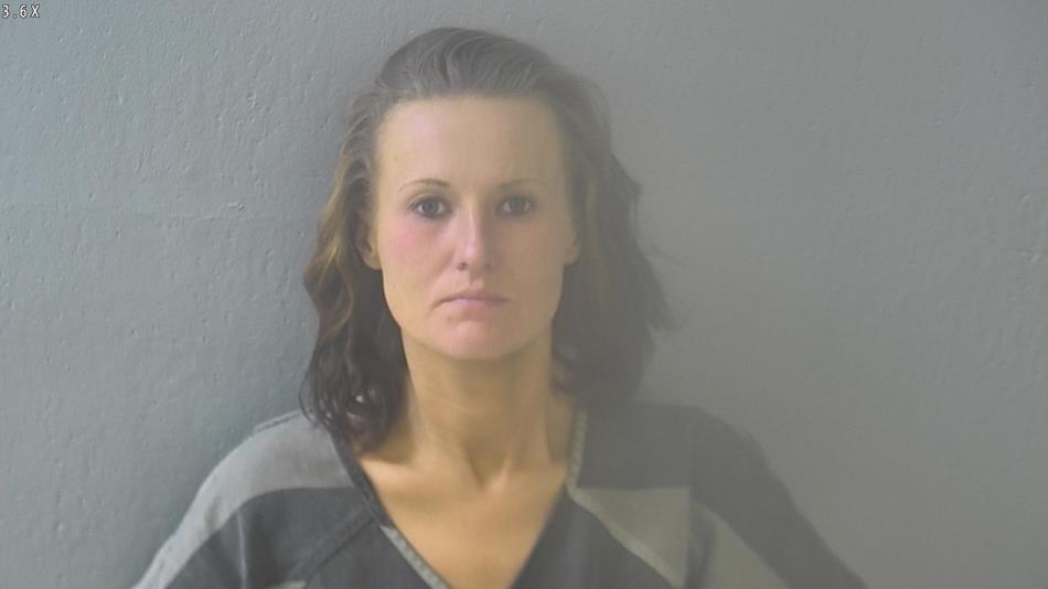 Arrest photo of BRITTANY ANDERSON