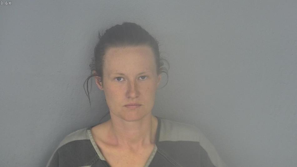 Arrest photo of BRITTANY ANDERSON