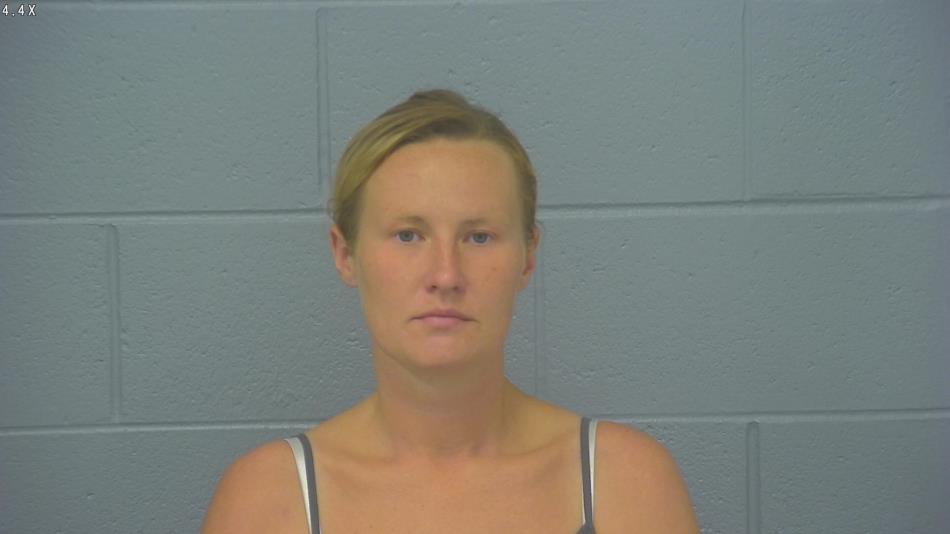 Arrest photo of BRITTANY ANDERSON