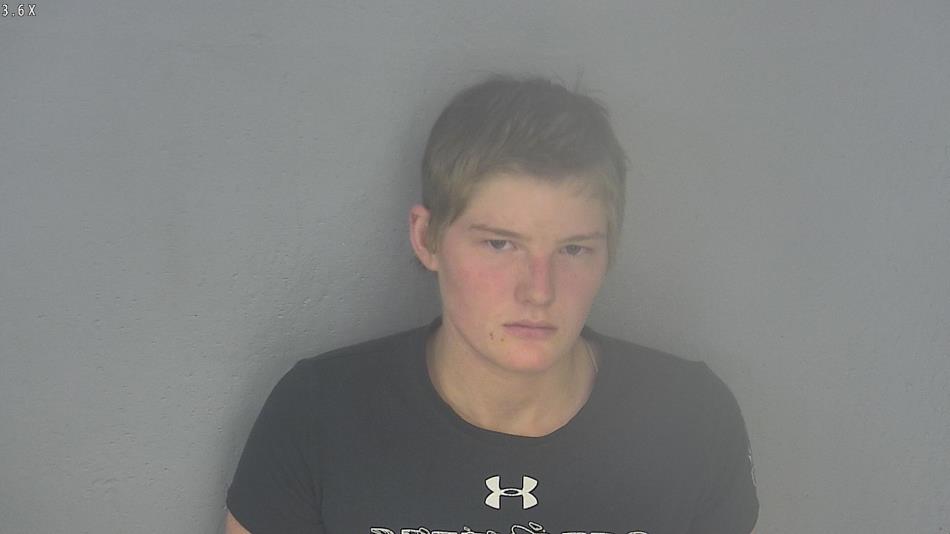 Arrest photo of BRITTANY GERST