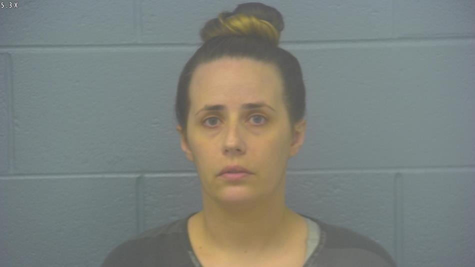 Arrest photo of BRITTANY VERMEULEN