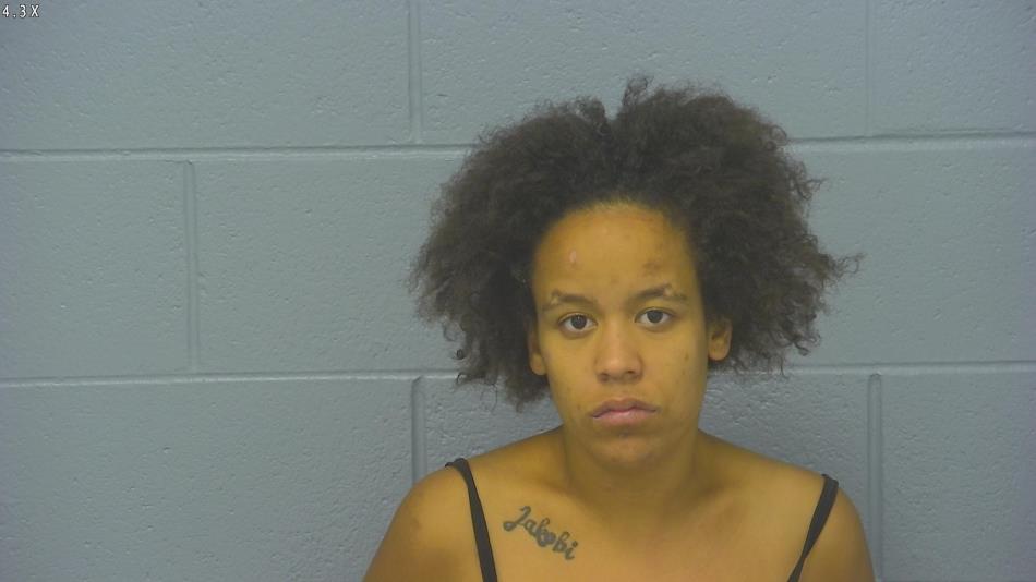 Arrest photo of BRITTANY SANTURE