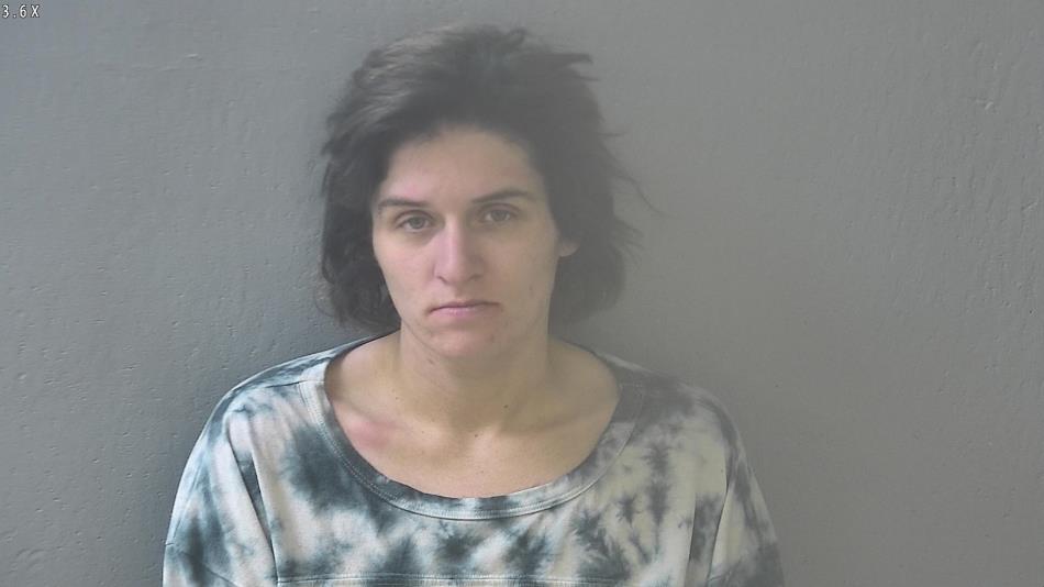 Arrest photo of BRITTNEY BREWER