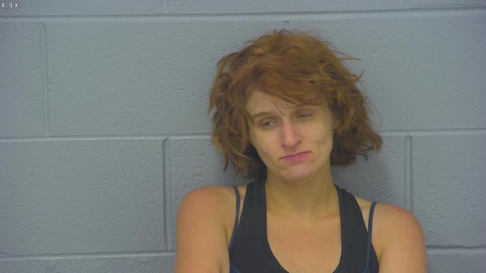 Arrest photo of BRITTNEY BREWER