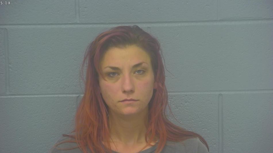 Arrest photo of BROOKE HERRON