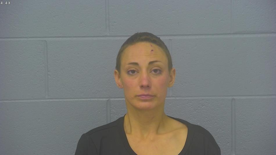 Arrest photo of BROOKE MILLER