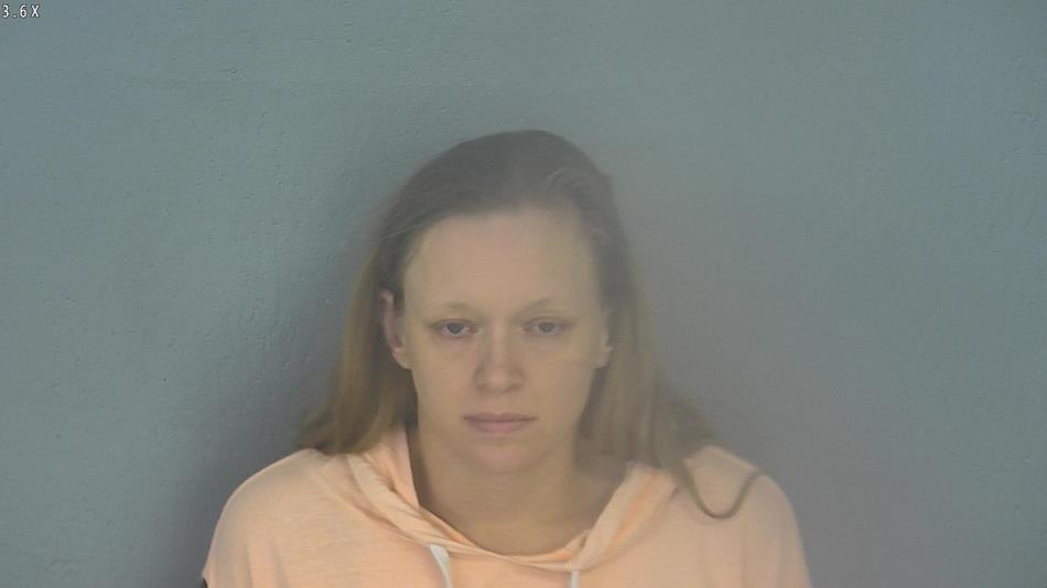Arrest photo of BROOKE STEWART