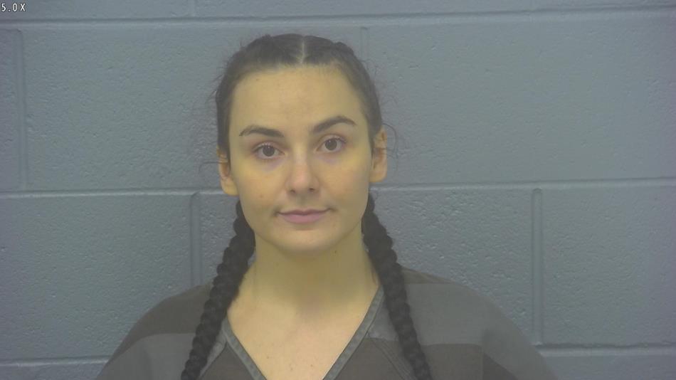 Arrest Photo of BROOKLYNN MARINO, arrested on 6/4/2024