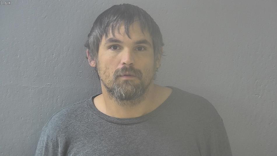 Arrest photo of BRUCE GOODWIN
