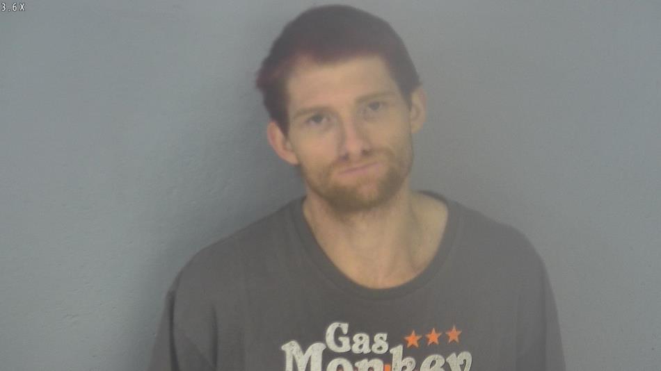Arrest photo of BRYAN TURNER
