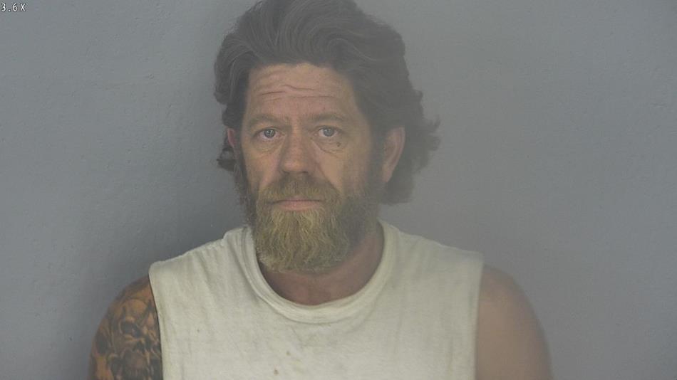 Arrest photo of BRYAN BROWN