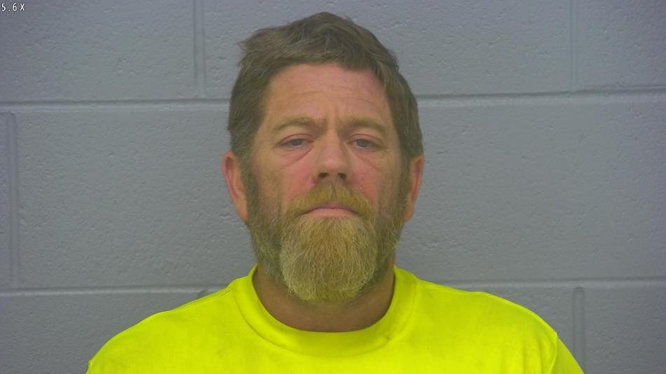 Arrest photo of BRYAN BROWN