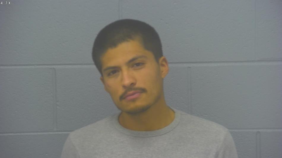 Arrest photo of BRYAN  PRECIADO