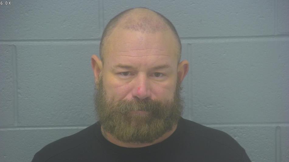 Arrest photo of BRYAN MCGAVIC