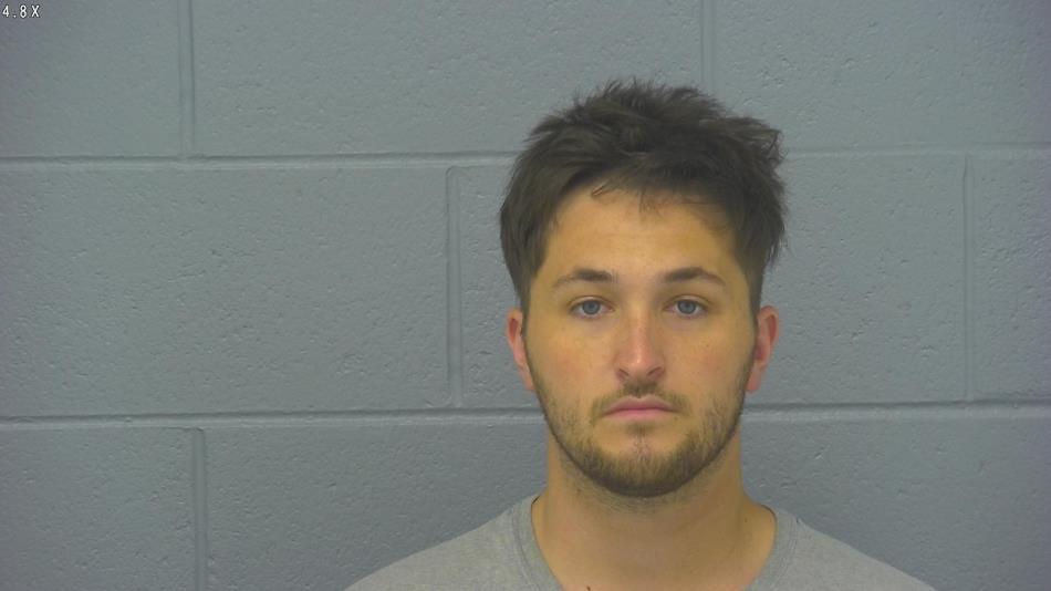 Arrest photo of BRYCE HARRISON