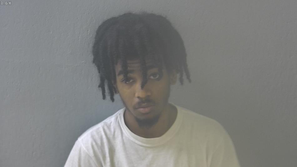 Arrest photo of BRYCE GERALD