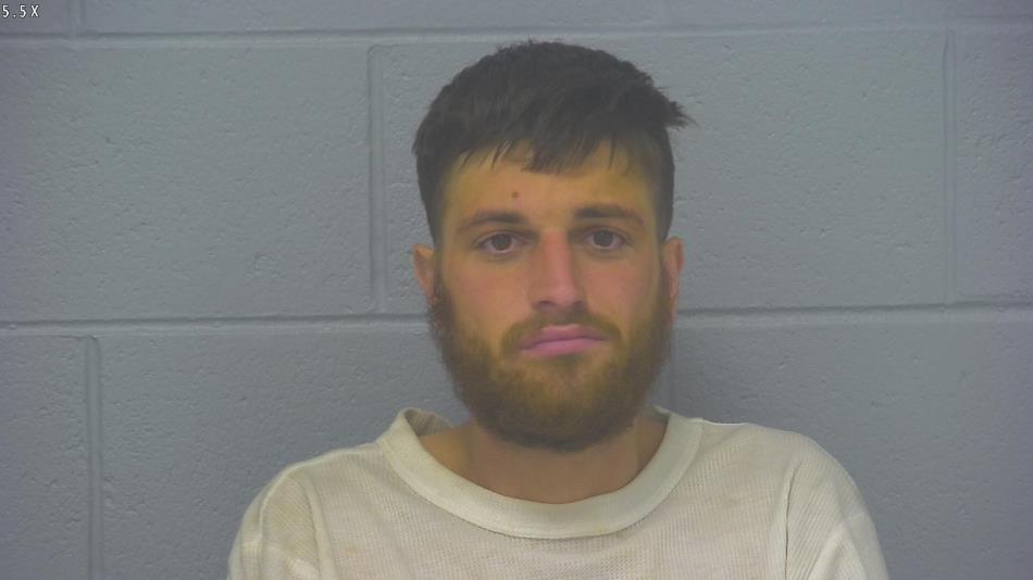 Arrest photo of CALEB NELSON