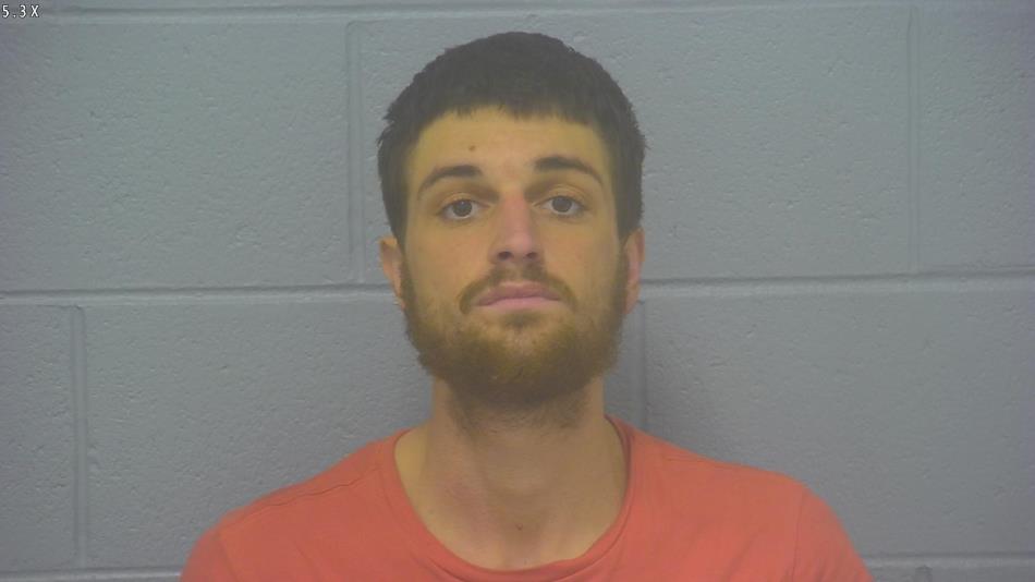 Arrest photo of CALEB NELSON