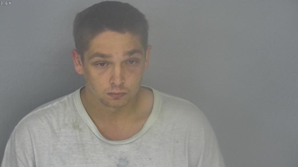 Arrest photo of CAMERON LAY