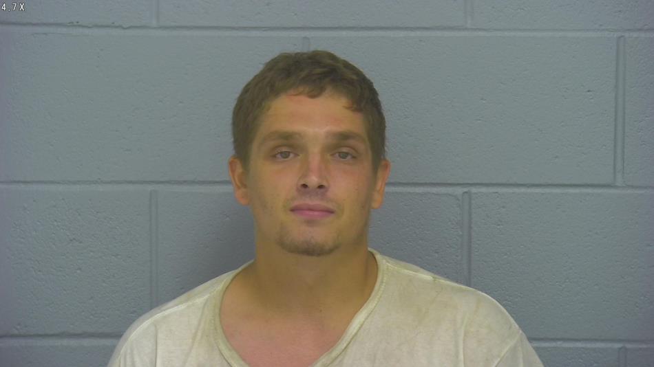 Arrest photo of CAMERON LAY