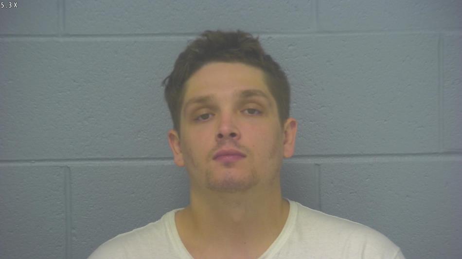 Arrest photo of CAMERON LAY