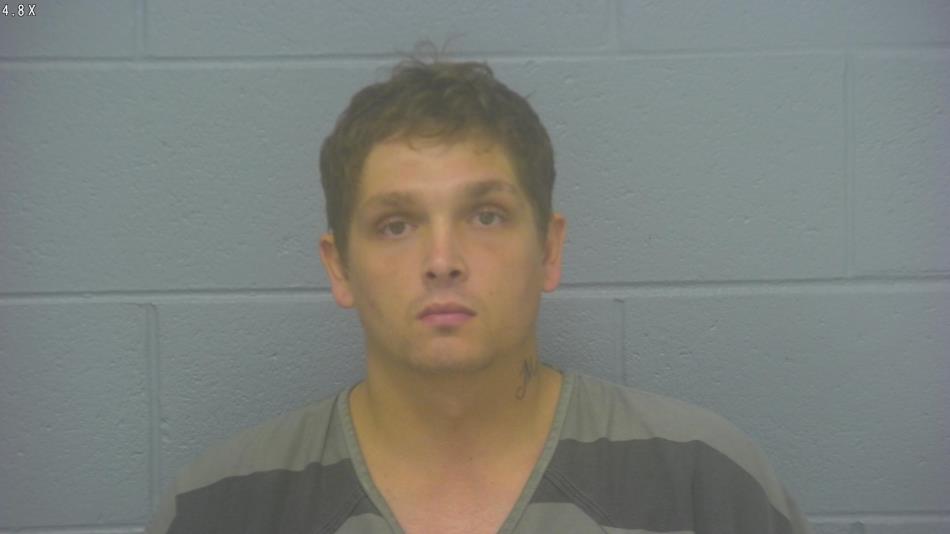 Arrest photo of CAMERON LAY