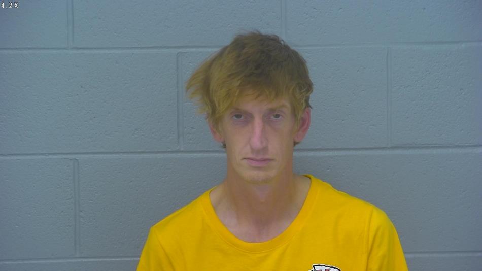 Arrest photo of CAMERON STEPHENS