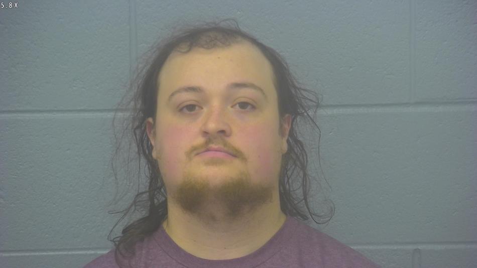 Arrest photo of CAMERON SARTIN