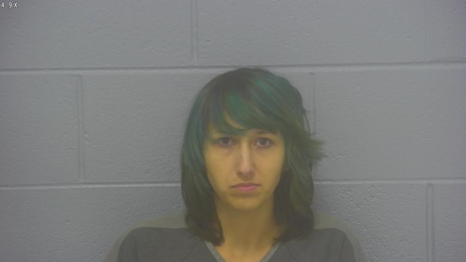 Arrest photo of CANDACE LUKINS