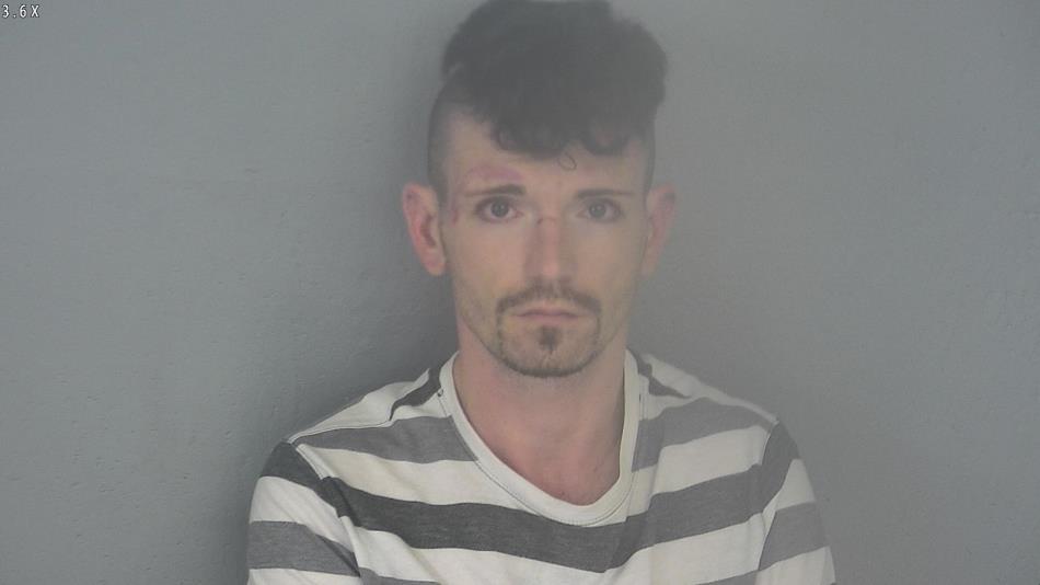 Arrest photo of CARL ROBERTS