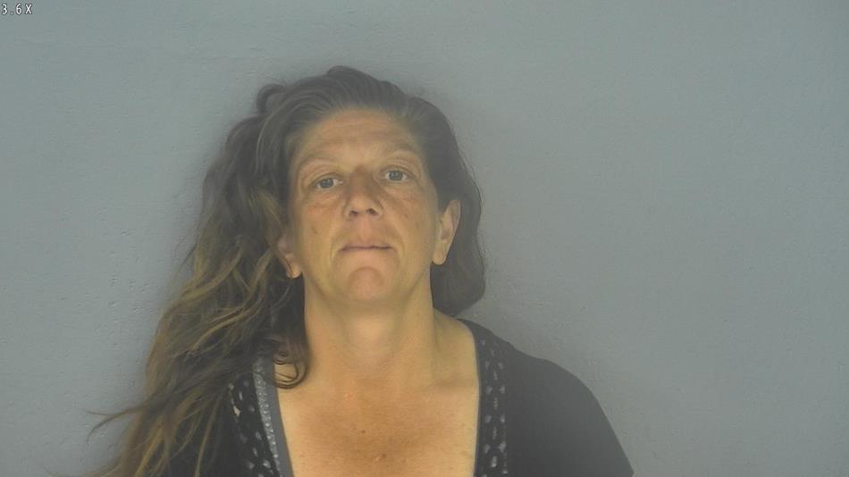 Arrest photo of CARLA WEBSTER