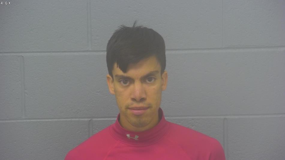 Arrest photo of CARLOS CHENA