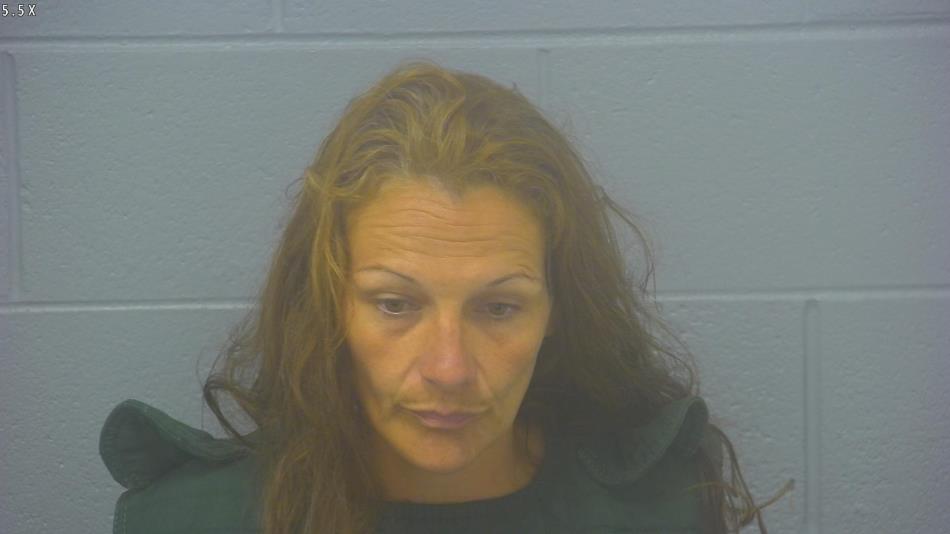 Arrest Photo of CARRIE WEEKS, arrested on 7/16/2024