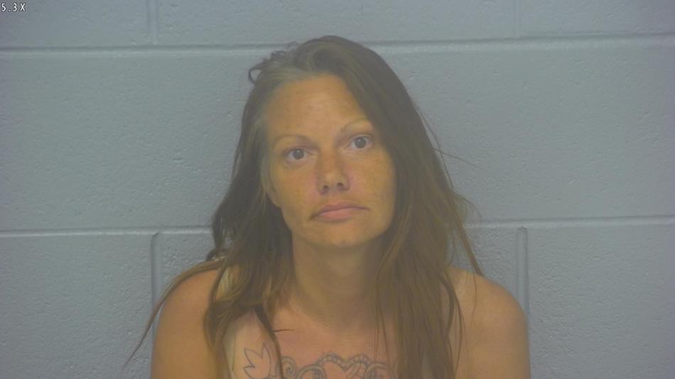 Arrest photo of CASSANDRA LUECK